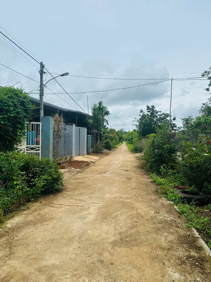 Đất nền Hòa Khánh, Buôn Ma Thuột 130m² giá 285 triệu - Cơ hội đầu tư không thể bỏ lỡ!