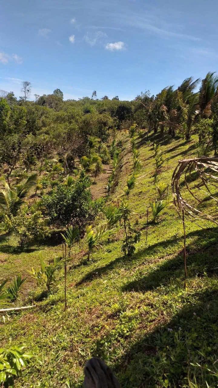 Đất vườn Hòa Thắng 1,2ha giá 1,62 tỷ - Tiềm năng phát triển lớn!