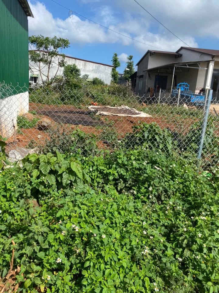 Đất nền Hòa Đông, Krông Pắc 150m² giá 750 triệu - Sổ đỏ chính chủ, vị trí đẹp!