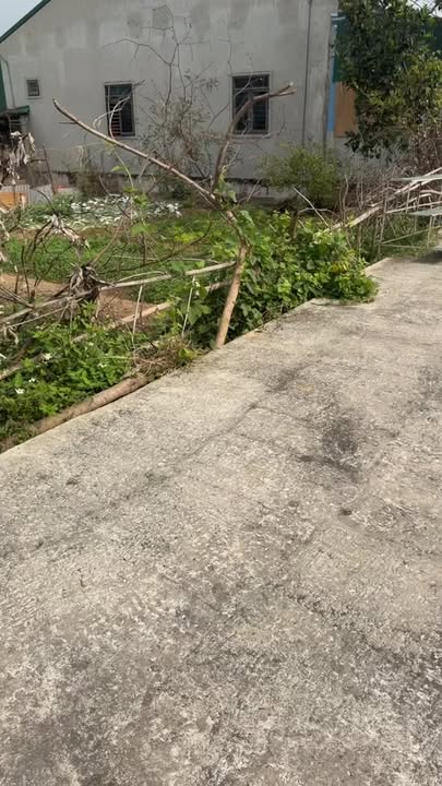 Đất đấu giá khu phố 4, phường Nam Lĩnh, diện tích 280m² - Vị trí vàng gần chợ và trường học!