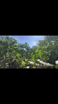 Nhà đẹp tại Đắk Sin, Đắk R'Lấp 1440m² giá 1.15 tỷ - Sẵn sàng vào ở ngay!