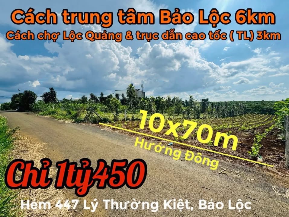 Đất nền Bảo Lộc 700m² giá 1.45 tỷ - Cơ hội đầu tư sinh lời!