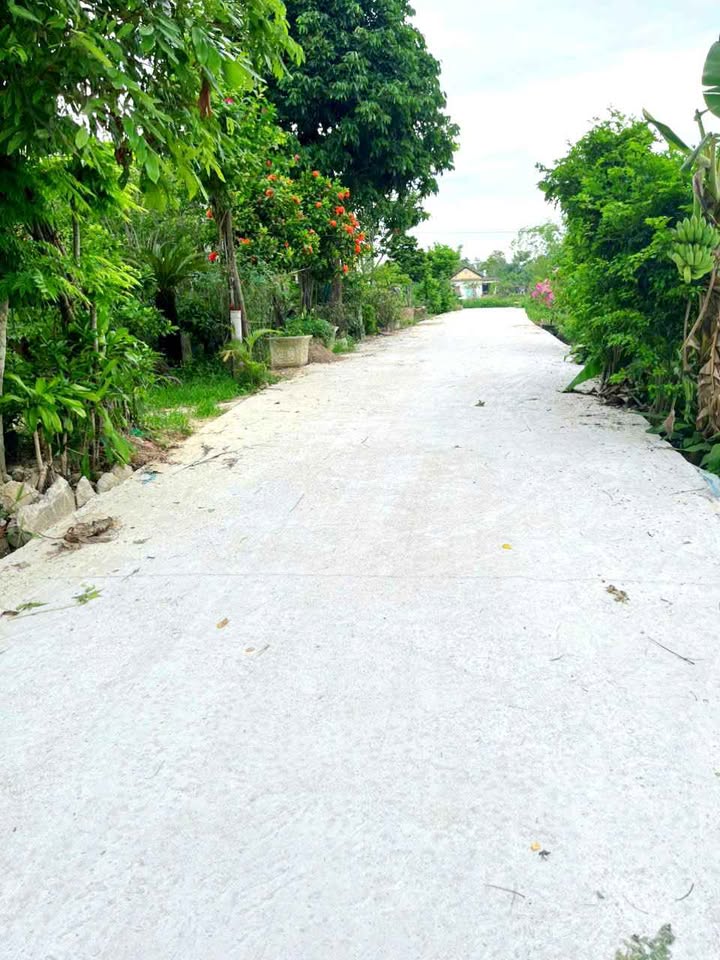 Đất thổ cư 300m² Phường Hương Chữ, TP. Huế - Chính chủ, giá chỉ 1 tỷ!