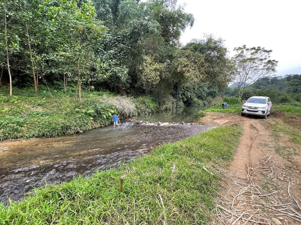 Đất nghỉ dưỡng Ngọc Đồng, Yên Lập 12.000m² giá 2 tỷ - Cơ hội đầu tư lý tưởng!