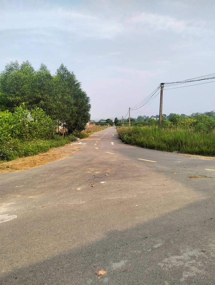 Đất thổ cư Tiên Lương, Cẩm Khê, Phú Thọ 150m² - Giá thỏa thuận, vị trí trung tâm!