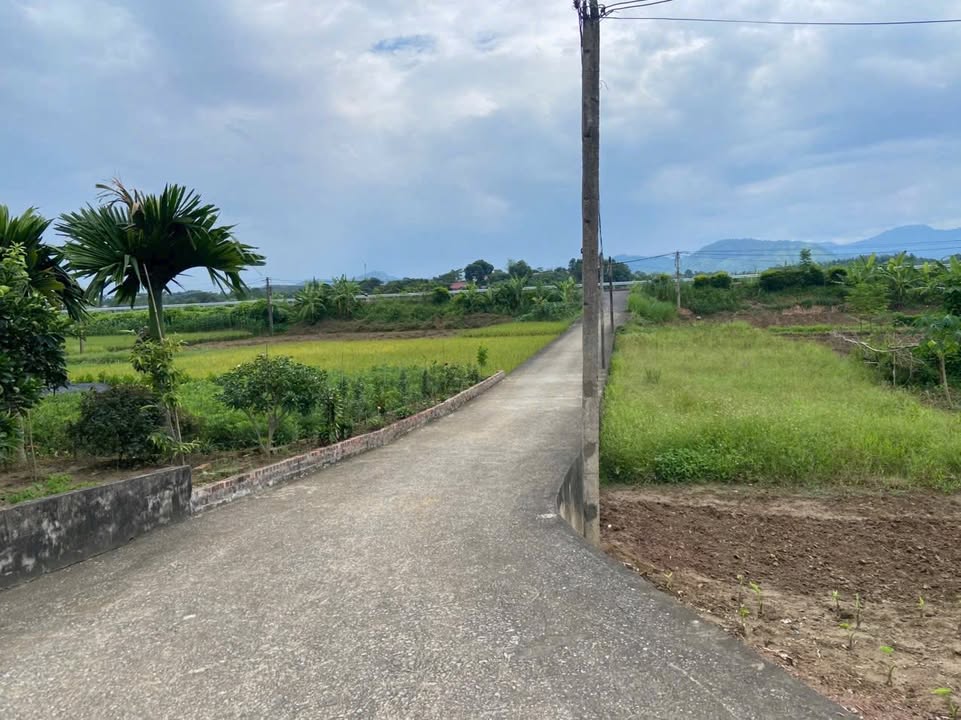 Đất nền Hiền Lương, Hạ Hòa, 432m² chỉ 800 triệu - Cơ hội đầu tư hấp dẫn!