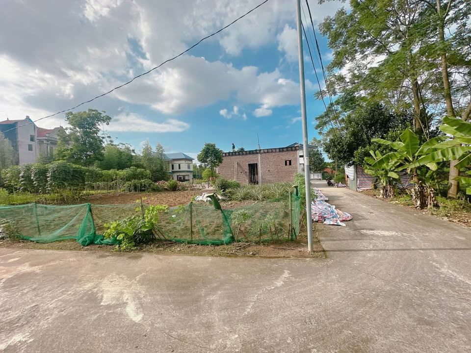 Đất nền Hy Cương, Việt Trì 503.6m² giá 3.7 tỷ - Đầu tư sinh lời ngay!