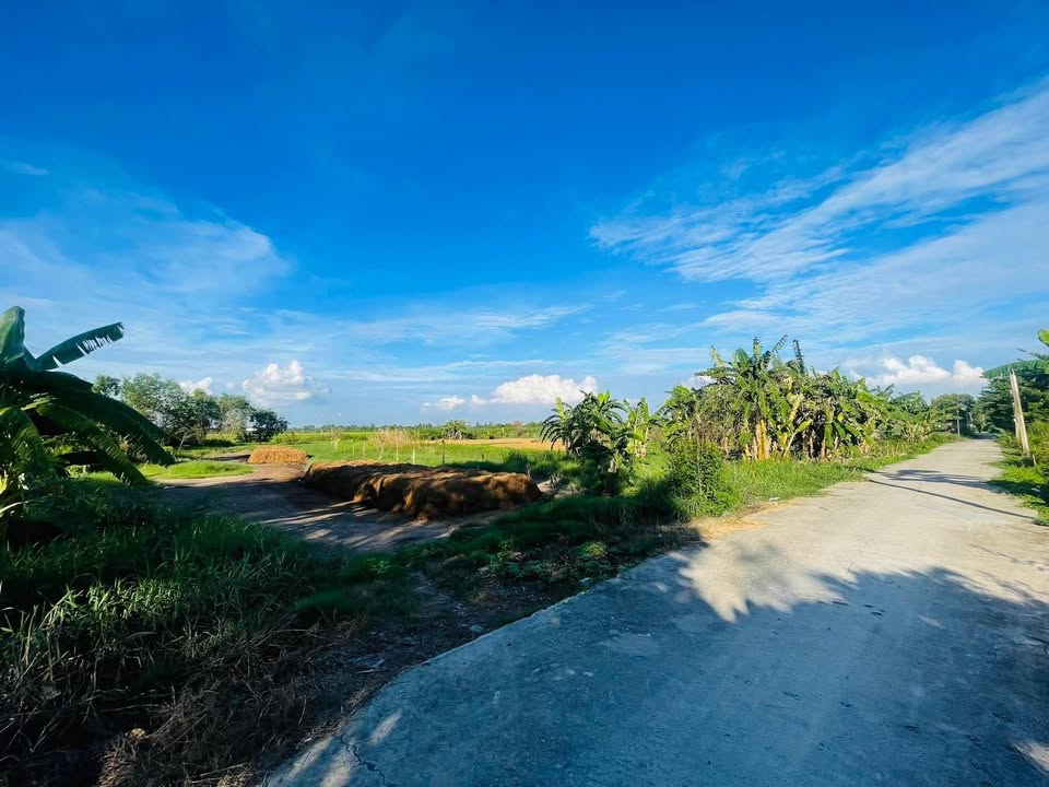 Đất vườn 2000m² tại Kênh Lung Cầu - Giá chỉ từ 1 tỷ, đầu tư sinh lời!