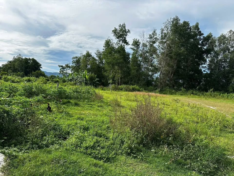 Đất nền liền kề Phú Hưng, Bình Tân 238m² giá 299 triệu - Sổ hồng chính chủ!