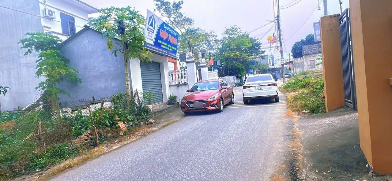 Đất thổ cư Hoàng Hoa, Tam Dương, Vĩnh Phúc 110m² giá 1 tỷ - Đầu tư sinh lời ngay!