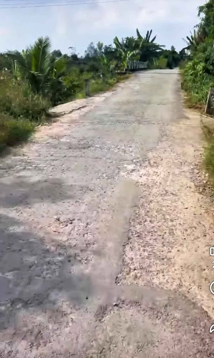 Đất nền lộ ô tô phường Đông Thành 80m² giá chỉ 2xx triệu - Thích hợp đầu tư và xây dựng nhà ở!