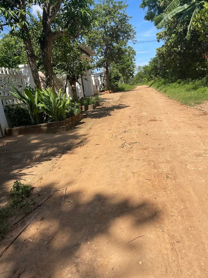 Đất nền 261m² Nghĩa Thắng, Nghĩa Đàn - Giá chỉ 300 triệu - Đầu tư sinh lời ngay!