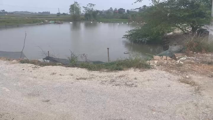 Đất nền đầu tư xã Đông Thanh 187,5m² - Giá cả thương lượng hấp dẫn!