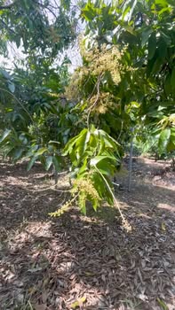 Đất nông nghiệp La Ngà 9300m² - Tiềm năng phát triển kinh tế cao!