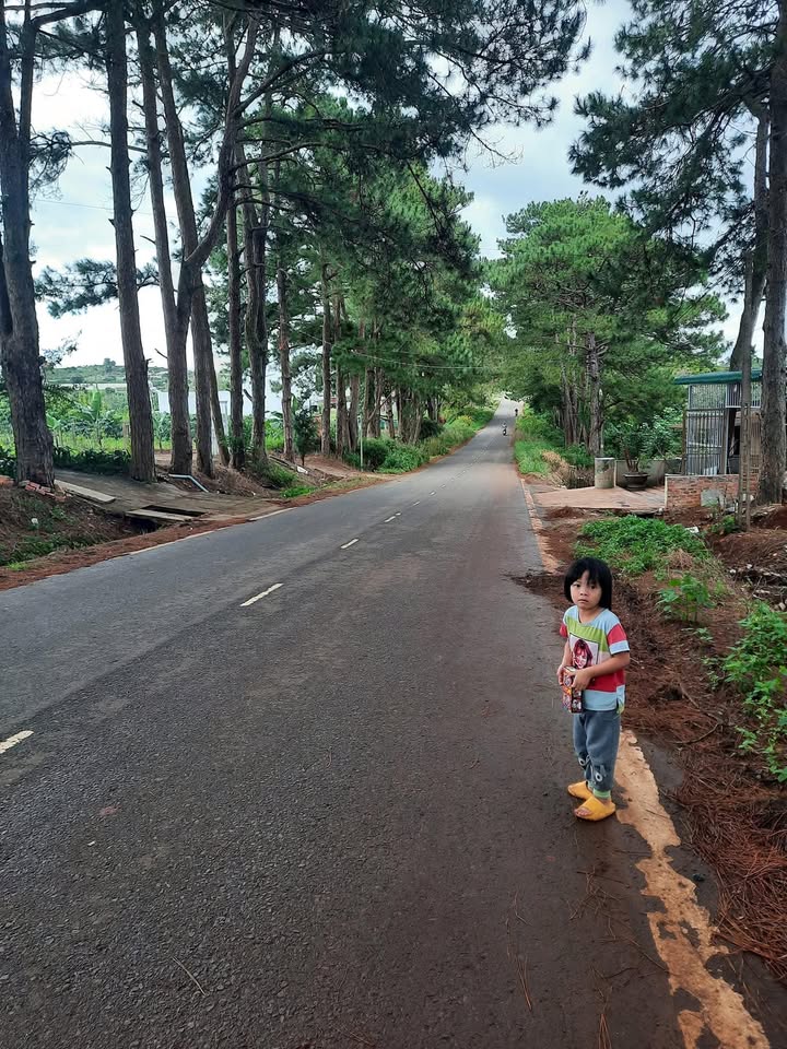 Đất thổ cư Tân Hà Lâm Hà 3600m² giá 830 triệu - Đầu tư sinh lời ngay!