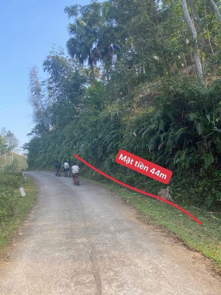 Đất nền Long Cốc Tân Sơn 1800m² giá 200 triệu - Tiềm năng đầu tư lớn!