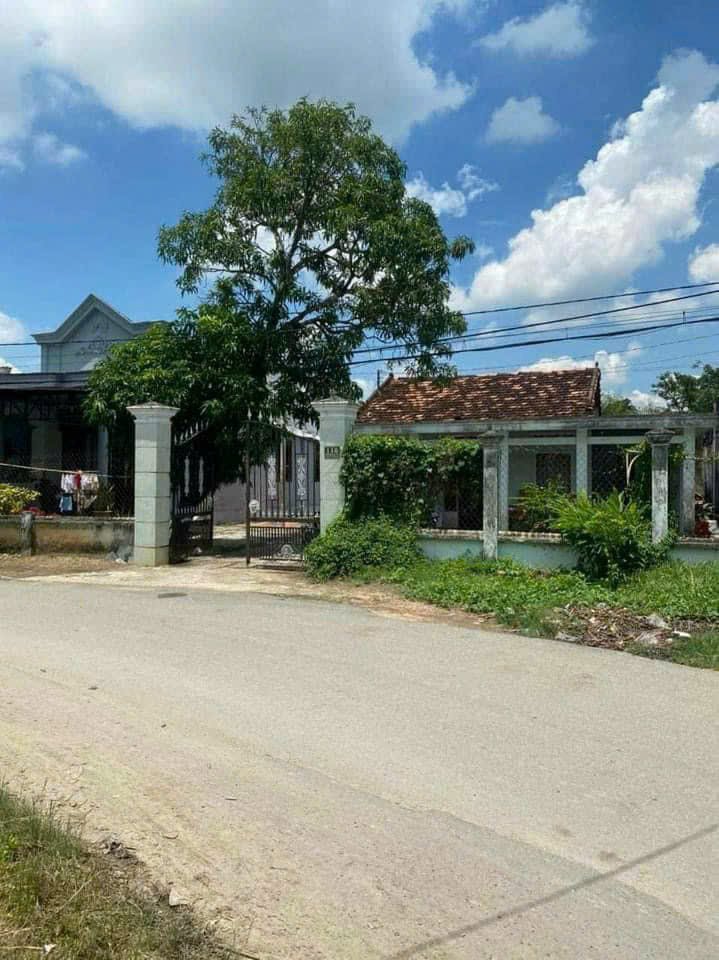 Đất mặt tiền Đoàn Minh Triết, Củ Chi 369m² giá 3,9 tỷ - Kinh doanh thuận lợi!