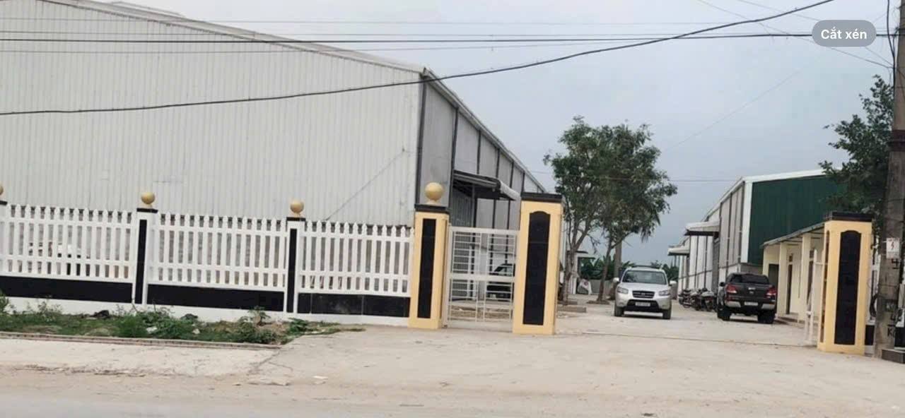 Nhà máy gạo Thiên Ngọc Vĩnh Long 50.278m² - Cơ hội đầu tư hiếm có!