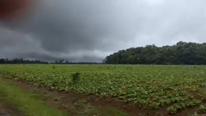 Đất nông nghiệp Lộc Thạnh Lộc Ninh 350ha giá 50 tỷ - Đầu tư sinh lời dài hạn!