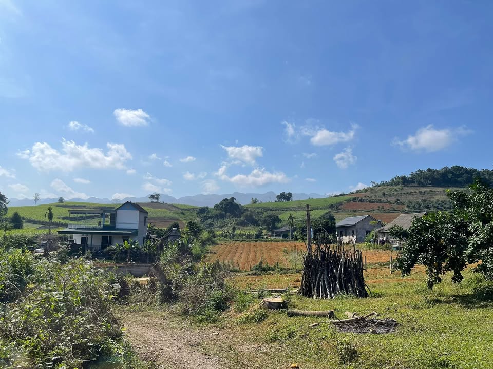 Lô đất đẹp 720m² tại Mỹ Hòa, Tân Lạc, Hòa Bình - Tiềm năng đầu tư sinh lời cao!