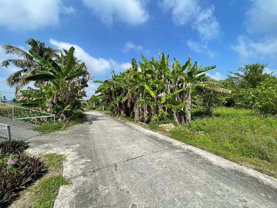 Đất nền Kênh Sáu Lưới, Thạnh Lộc, 132m² giá 400 triệu - Sổ hồng chính chủ, đầu tư sinh lời!