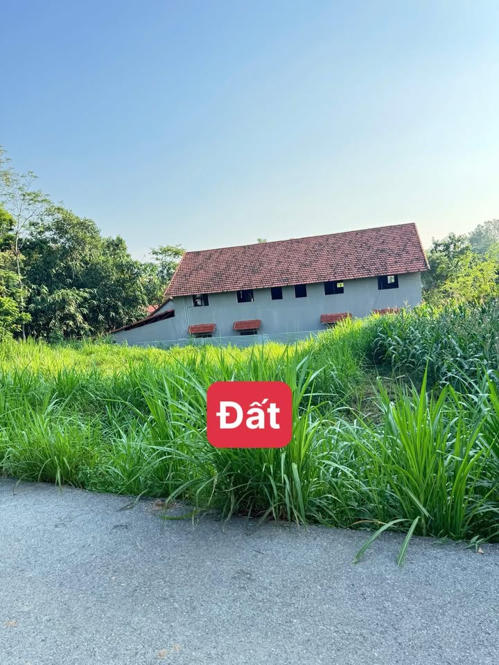 Đất Vân Trục, Lập Thạch 146m² giá chỉ 500 triệu - Đường nhựa thông thoáng!