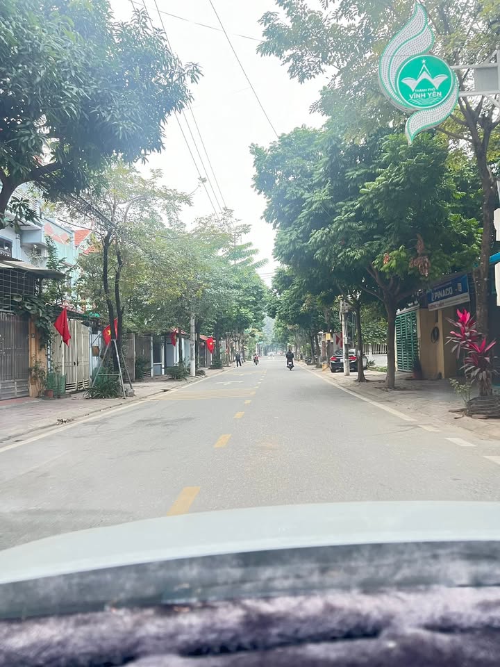 Đất kinh doanh phố Lam Sơn, Đồng Tâm, 123m² giá 4 tỷ - Đầu tư sinh lời tuyệt vời!