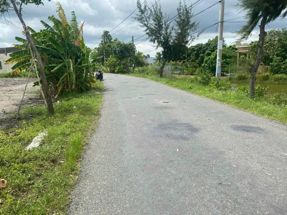 Đất nền 1470m² tại xã Tân Phong, Giá Rai - Chính chủ bán giá 1.8 tỷ, thương lượng!