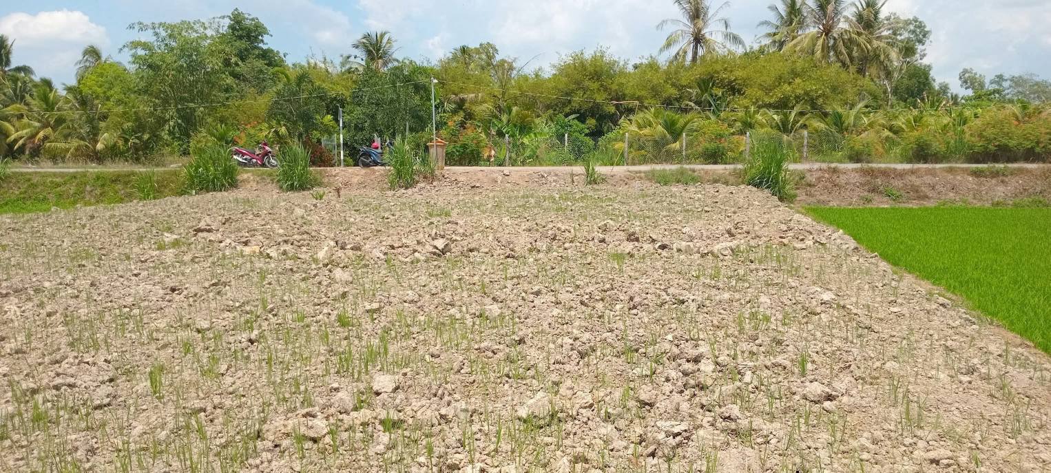 Đất Hòa Tịnh, Long Hồ 139,9m² giá 370 triệu - Cơ hội đầu tư sinh lời!