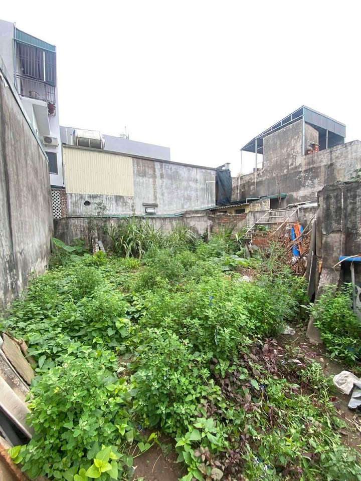 Đất ở đô thị Trần Lãm Thái Bình 90.2m² giá thỏa thuận - Vị trí thuận lợi, gần bệnh viện!