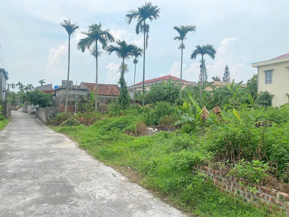 Đất nền Thái Thịnh Thái Thụy 100m² giá 700 triệu - Vị trí đắc địa gần trường học!