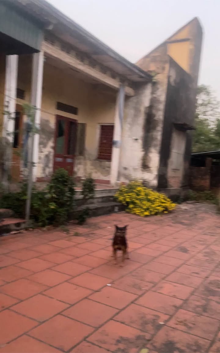 Đất thổ cư Đông Xuân Đông Hưng 350m² giá 1 tỷ - Mặt tiền 15m, ô tô vào tận nơi!