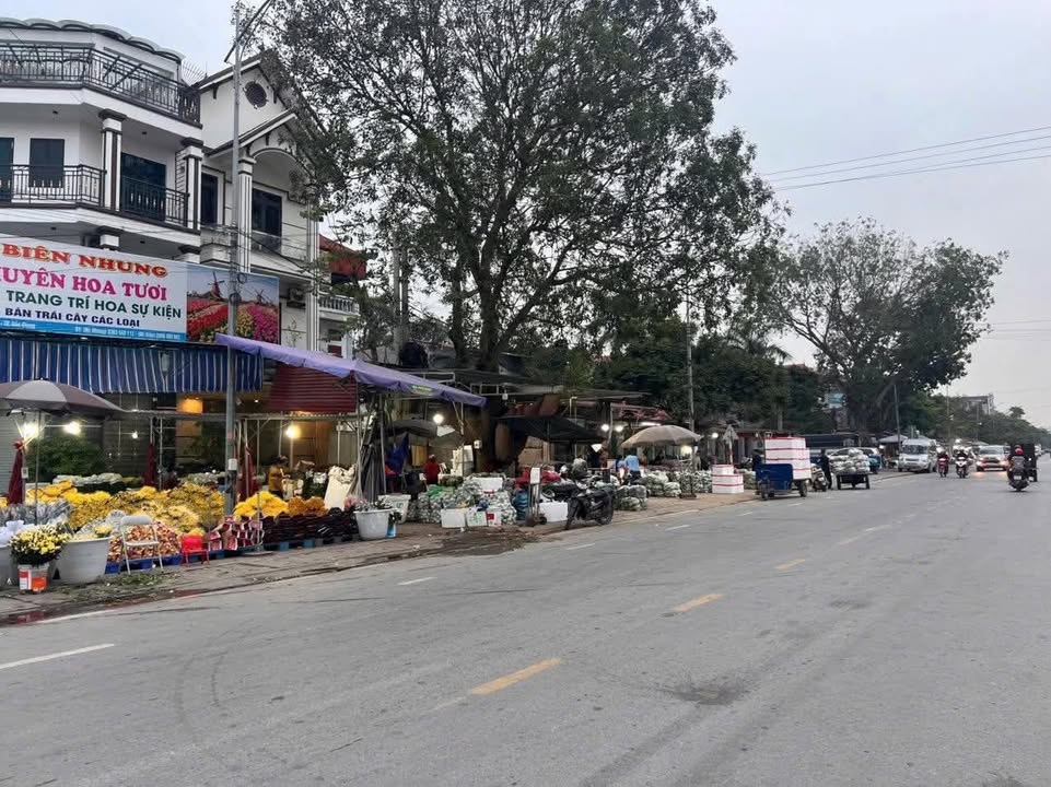 Đất nền Tân Mỹ Bắc Giang 90m² giá 2.7 tỷ - Sổ đỏ chính chủ, vị trí kinh doanh thuận lợi!