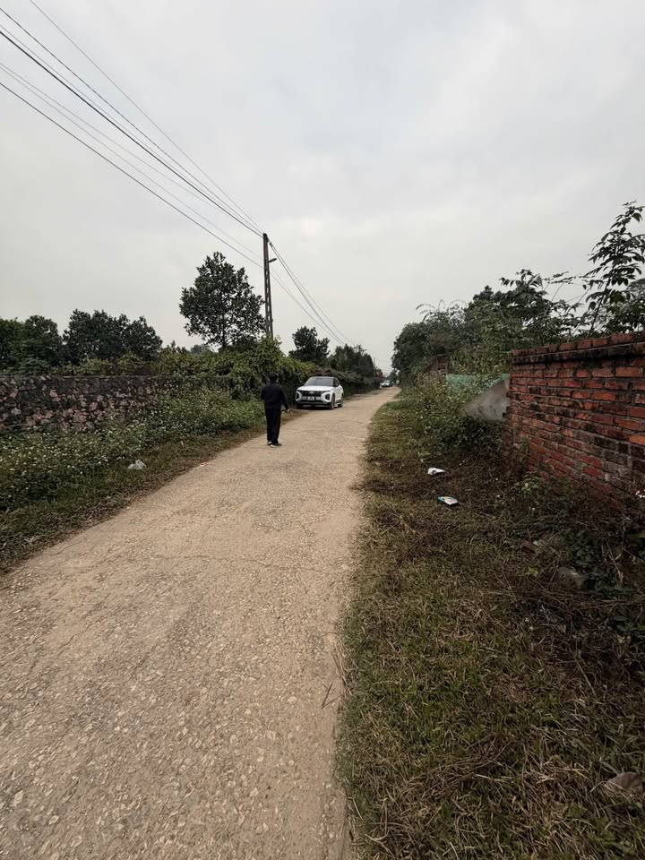 Đất nền mặt tiền lớn tại Tân Hòa, 3800m² chỉ 2.x triệu/m² - Cơ hội đầu tư hấp dẫn!