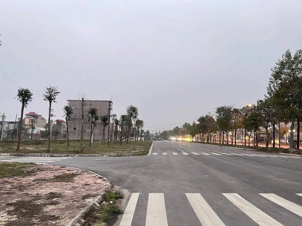 Đất đấu giá X3 Tam Đồng, Mê Linh 83m² giá 6 triệu/m - Cơ hội đầu tư tuyệt vời!