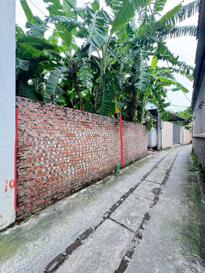 Đất nền Ỷ Lan Gia Lâm 124.9m² giá 8.99 tỷ - Cơ hội đầu tư hiếm có!