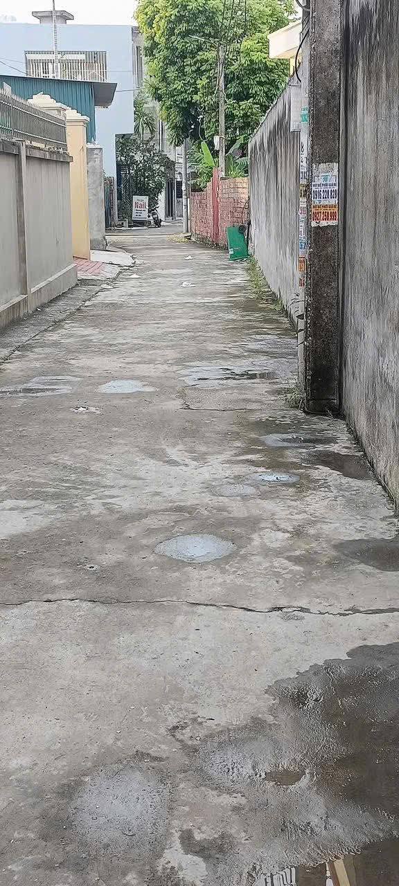 Đất Ngũ Lão Thủy Nguyên 100m² giá 1.9 tỷ - Đầu tư sinh lời ngay!