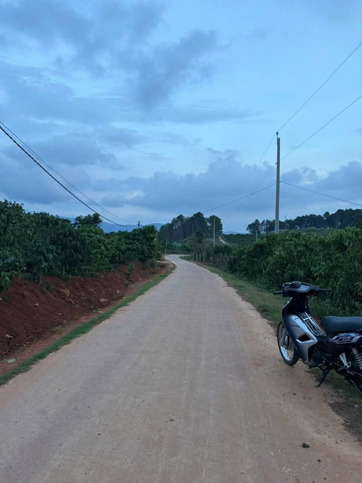 Đất thổ cư Nam Ban – Lâm Hà 5.500m² giá 6 tỷ - Cơ hội đầu tư hiếm có!