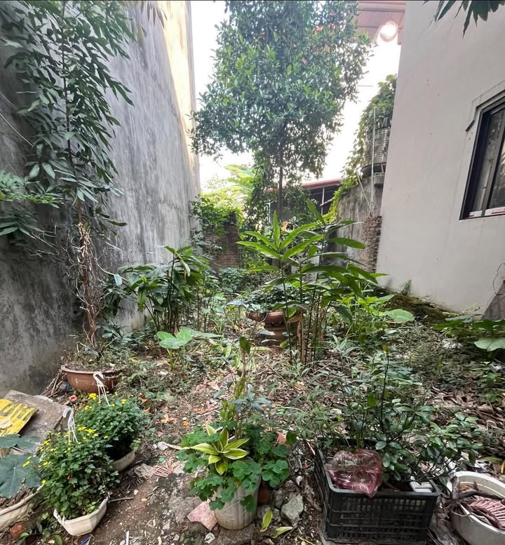 Đất nền Thụy Phương, Đông Ngạc 50m² giá 6 tỷ - Nở hậu, gần dự án Vin sắp triển khai!