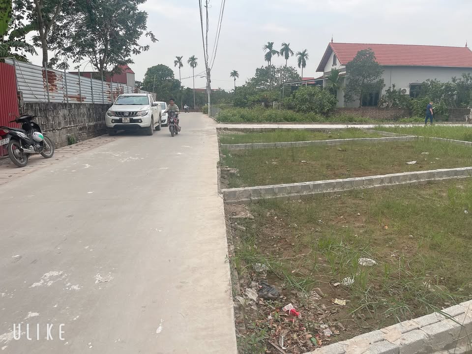 Lô đất đẹp tại Đông Tảo, Hoàn Long, Hưng Yên 65m² chỉ 2 tỷ - Cơ hội đầu tư hấp dẫn!