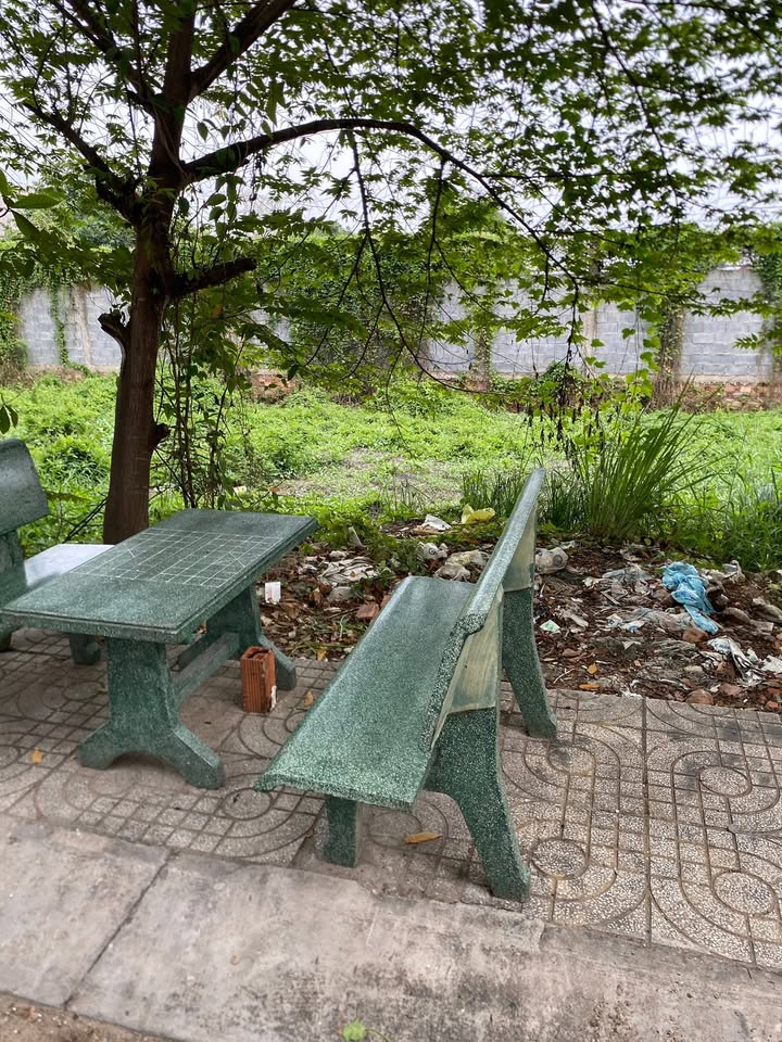 Đất nền Tân Tạo 58m² giá 3.5 tỷ - Sổ hồng riêng, xe hơi vào tận nơi!