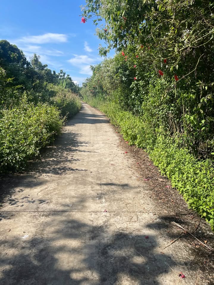 Đất nền ấp 3 Phú Tân, Định Quán 1000m² giá 495 triệu - Sổ đỏ chính chủ!