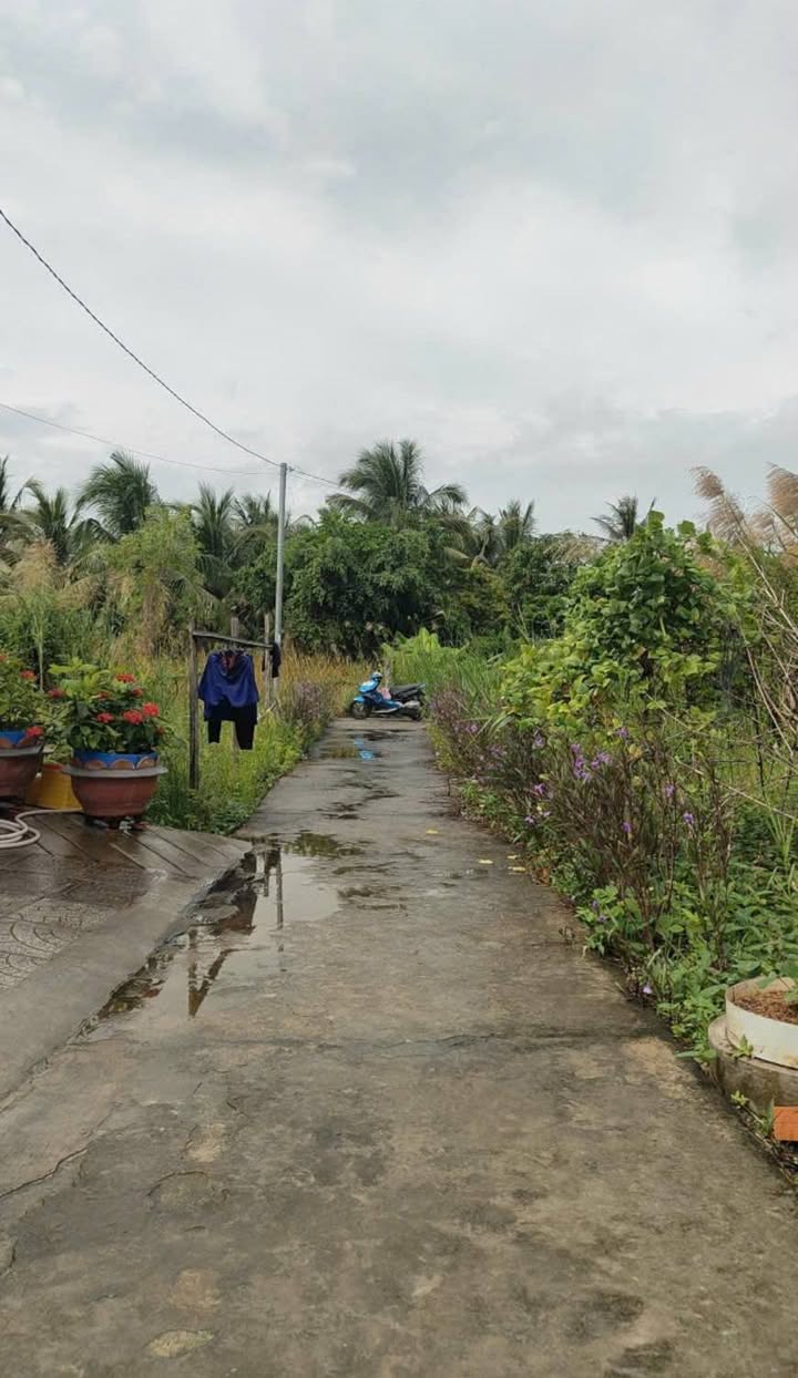 Đất nền Đường Trần Hữu Độ, An Bình, Rạch Giá 110m² - Giá tốt, đầu tư sinh lời!