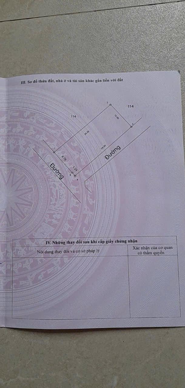 Đất nền Cẩm Nam 250m² - Giá đầu tư hấp dẫn, vị trí đẹp!