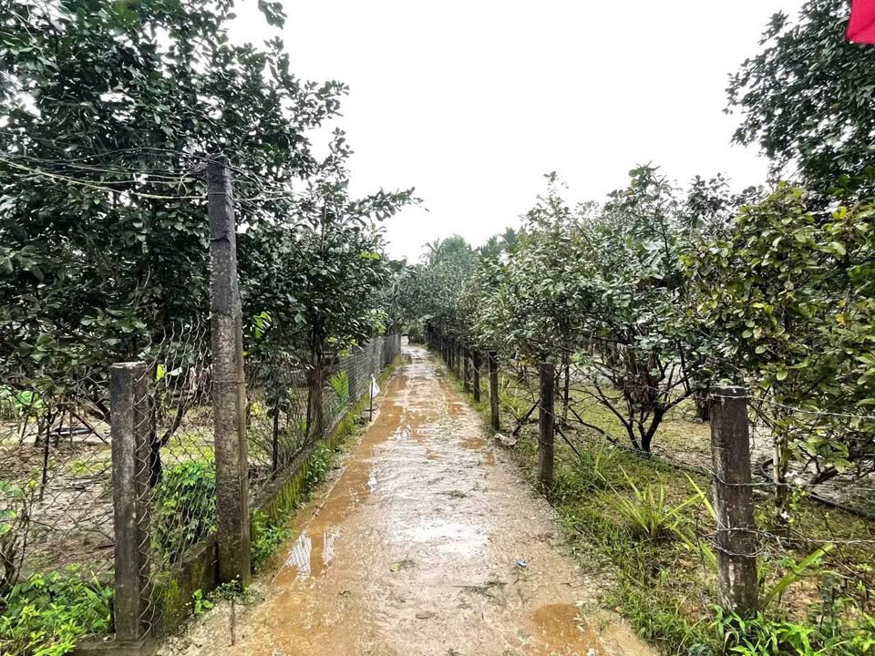 Đất Thủy Bằng Huế 217m² giá 500 triệu - Cơ hội đầu tư hấp dẫn!