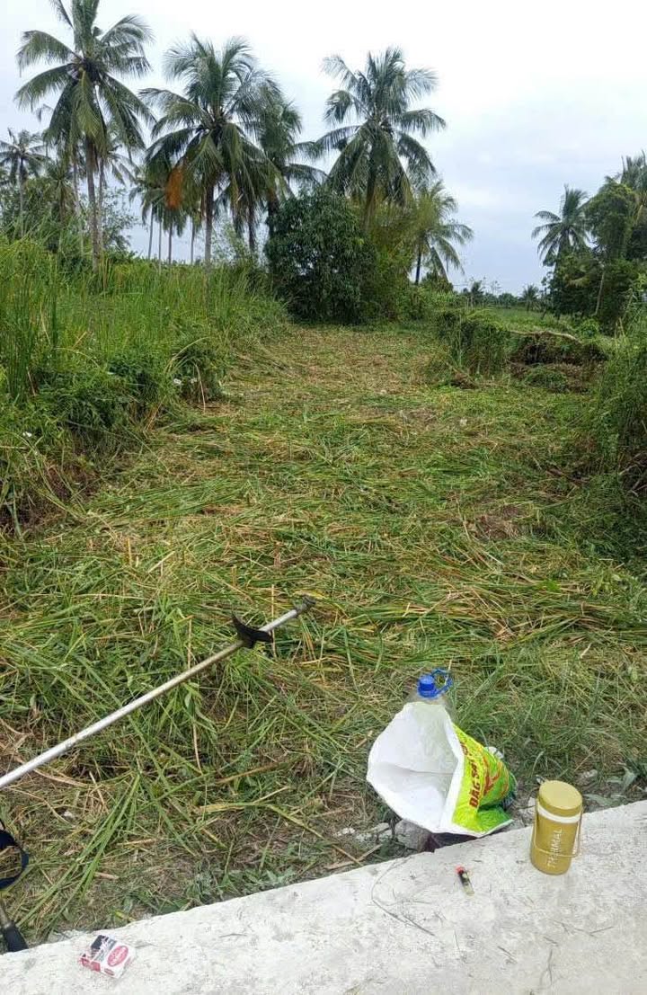 Đất nền lập vườn Lý Văn Lâm, Cà Mau 792m² giá 1.21 tỷ - Không khí trong lành, vị trí đẹp!