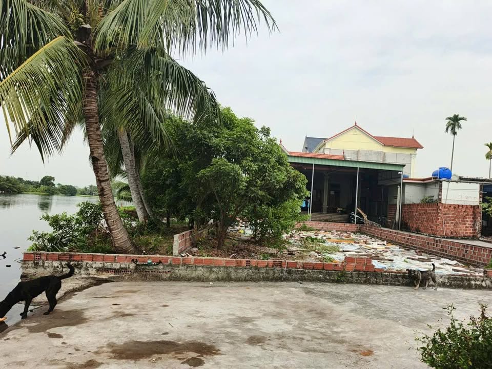 Đất Lập Lễ - Thủy Nguyên 70m² chỉ từ 1.05 tỷ - Tiềm năng phát triển mạnh mẽ!