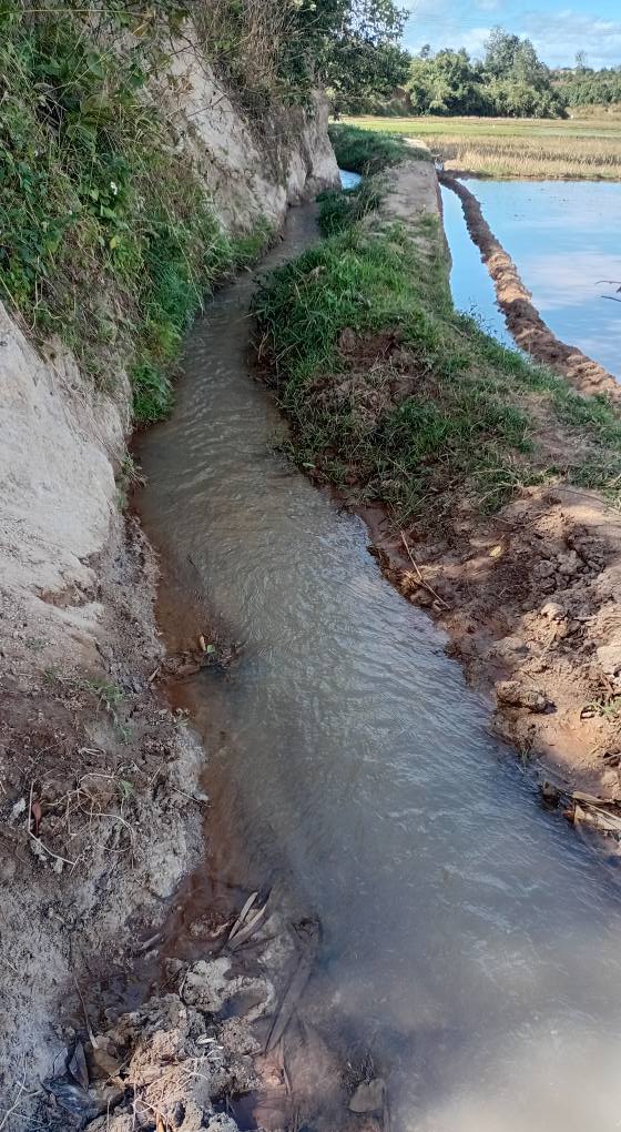 Cho thuê farm cà phê Hòa Phú, Buôn Ma Thuột - Diện tích 250 cây, chỉ 165 triệu