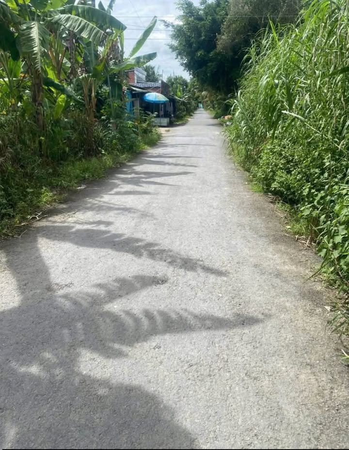 Đất nền Hòa Bình, Trà Ôn 5600m² giá 300 triệu - Đầu tư sinh lời ngay!