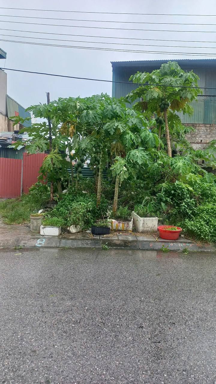 Đất nền Cẩm Phả 56m² giá 2 tỷ - Vị trí đẹp, tiềm năng kinh doanh!